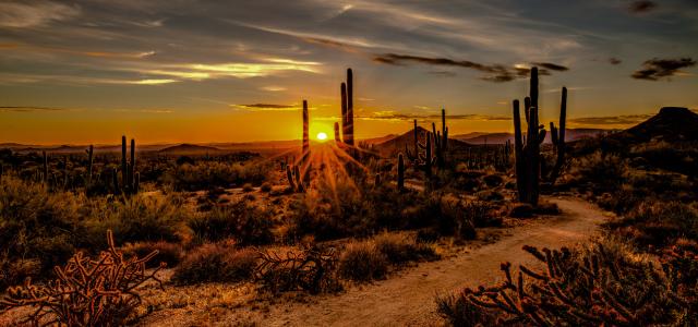 Scottsdale, Arizona