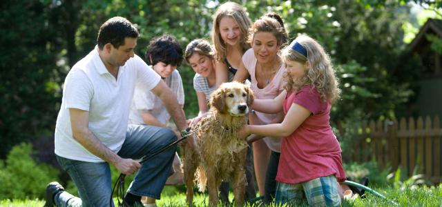 group of people standing on green grass field during daytime by CDC courtesy of Unsplash.
